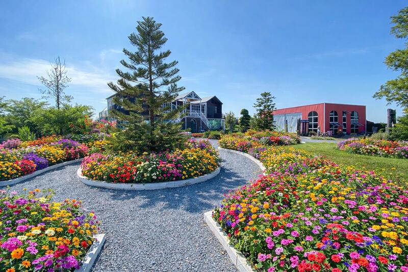 ที่ดินพร้อมสิ่งปลูกสร้าง บางเลน นครปฐม, นครปฐม, ดอนตูม, บางเลน, นครปฐม, 6,400 ตร.ม., บ้านเดี่ยว ขาย, โดย Jutarat Jitmun, 11682819 - DDproperty.com