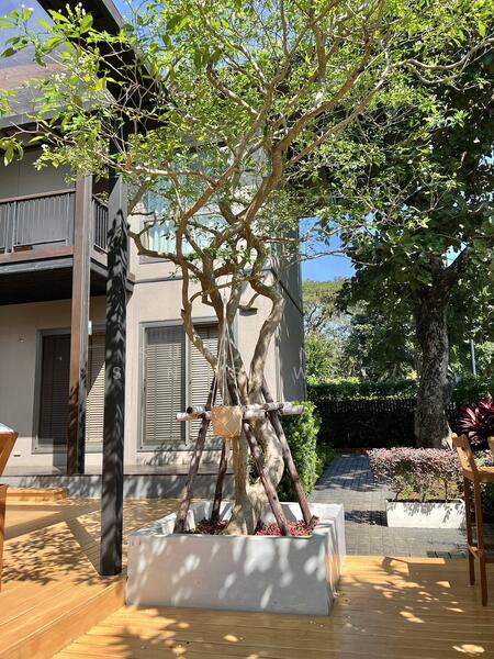 Baan Sita wan, Nakhon Ratchasima, Pak Chong, Pak Chong, Nakhon Ratchasima, 3 Bedrooms, 265 sqm, Villa For Sale, by Suwanna Singsawat, 11683822 - DDproperty.com