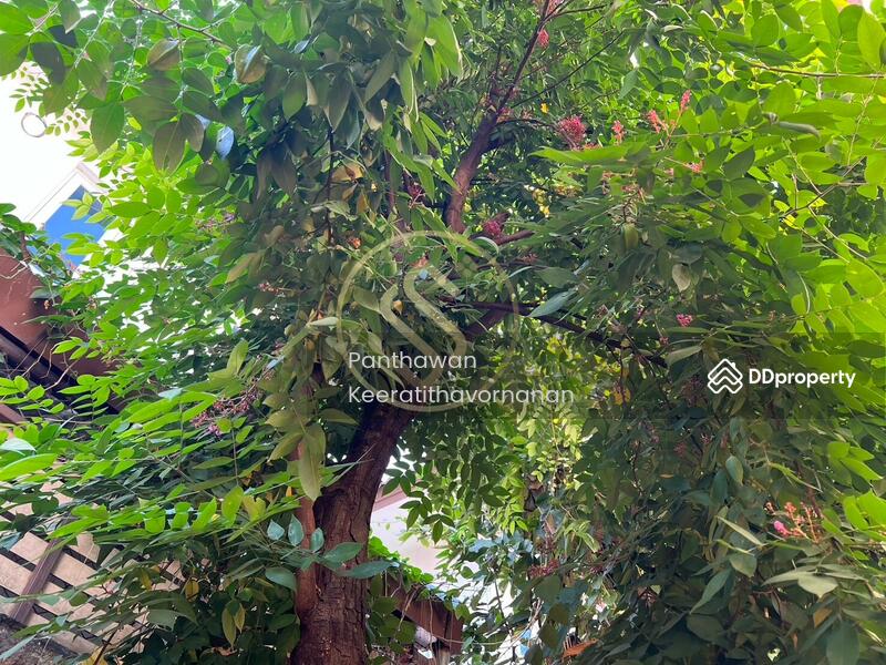 For Sale - Discovery Balihi Rangsit-Klong 4, Pathum Thani