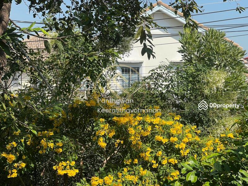 For Sale - Discovery Balihi Rangsit-Klong 4, Pathum Thani