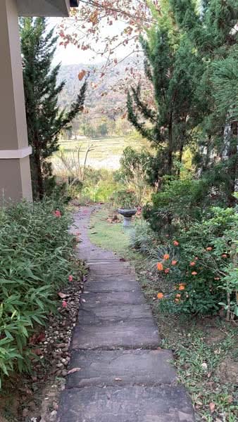 Maerim, Chiang Mai, Don Kaeo, Mae Rim, Chiang Mai, 3 Bedrooms, 200 sqm, Single Detached House For Rent, by วุฒิภัทร มิ่งคำ, 11685025 - DDproperty.com