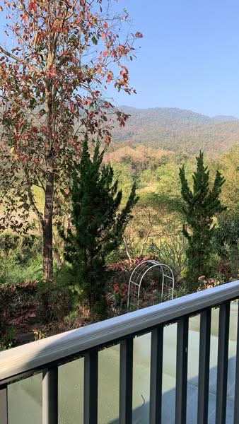 Maerim, Chiang Mai, Don Kaeo, Mae Rim, Chiang Mai, 3 Bedrooms, 200 sqm, Single Detached House For Rent, by วุฒิภัทร มิ่งคำ, 11685025 - DDproperty.com