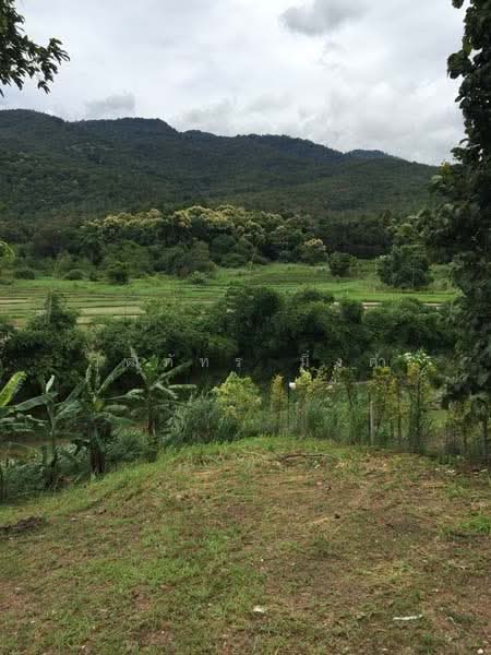 แม่ริม, เชียงใหม่, ดอนแก้ว, แม่ริม, เชียงใหม่, 200 ตร.ม., บ้านเดี่ยว ให้เช่า, โดย วุฒิภัทร มิ่งคำ, 11685025 - DDproperty.com