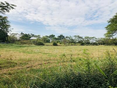 ขาย - ที่ดินเปล่า 1-1-40 ไร่ ในโครงการสนามกอล์ฟ กรีนวัลเลย์ คันทรีคลับ, สมุทรปราการ