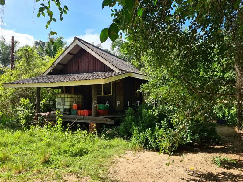 Homes and pig-raising houses, Nakhon Si Thammarat, 353/2 ประชาสรรค์, Sichon, Nakhon Si Thammarat, 1 Bedroom, 316 sqm, Single Detached House For Sale, by วารุณี จำรูญนุรักษ์, 11685604 - DDproperty.com