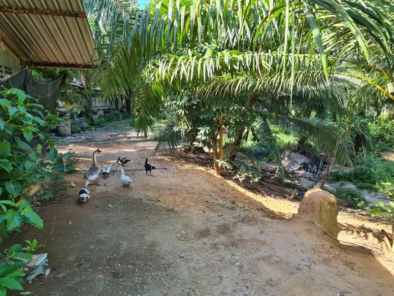 Homes and pig-raising houses, Nakhon Si Thammarat, 353/2 ประชาสรรค์, Sichon, Nakhon Si Thammarat, 1 Bedroom, 316 sqm, Single Detached House For Sale, by วารุณี จำรูญนุรักษ์, 11685604 - DDproperty.com