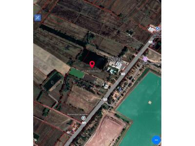 ขาย - ขายที่ดิน พื้นที่ 348 ตร.ว. มี 4โฉนด อยู่เขตทุ่งกระเต็น อ.หนองกี่ จ.บุรีรัมย์, บุรีรัมย์