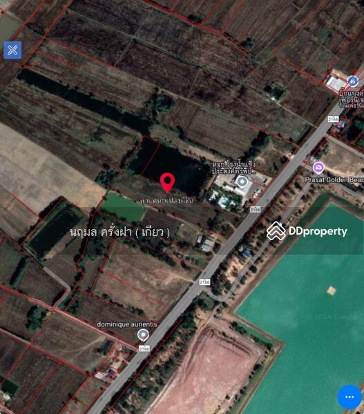 ขาย - ขายที่ดิน พื้นที่ 348 ตร.ว. มี 4โฉนด อยู่เขตทุ่งกระเต็น อ.หนองกี่ จ.บุรีรัมย์, บุรีรัมย์