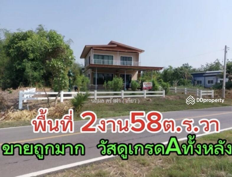 ขาย - ขายที่ดิน พื้นที่ 348 ตร.ว. มี 4โฉนด อยู่เขตทุ่งกระเต็น อ.หนองกี่ จ.บุรีรัมย์, บุรีรัมย์