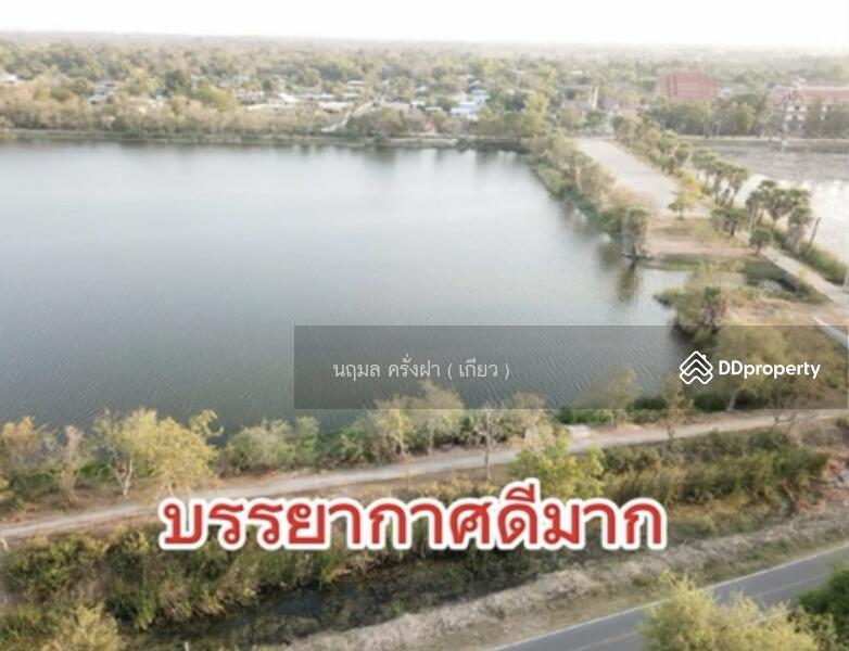 ขาย - ขายที่ดิน พื้นที่ 348 ตร.ว. มี 4โฉนด อยู่เขตทุ่งกระเต็น อ.หนองกี่ จ.บุรีรัมย์, บุรีรัมย์