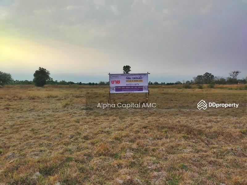 ขาย - ที่ดินเปล่า L4_3_0390_G01, ขอนแก่น