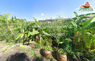 ขาย - ที่ดินอำเภอสามโคก ปทุมธานี, ปทุมธานี