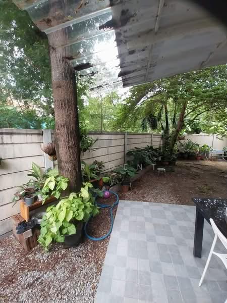พฤกษา28/1, Samut Prakan, Phreak Sa Mai, Muang Samut Prakarn, Samut Prakan, 3 Bedrooms, 120 sqm, Single Detached House For Sale, by NR AGENT, 11688328 - DDproperty.com