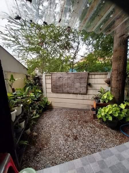 พฤกษา28/1, Samut Prakan, Phreak Sa Mai, Muang Samut Prakarn, Samut Prakan, 3 Bedrooms, 120 sqm, Single Detached House For Sale, by NR AGENT, 11688328 - DDproperty.com