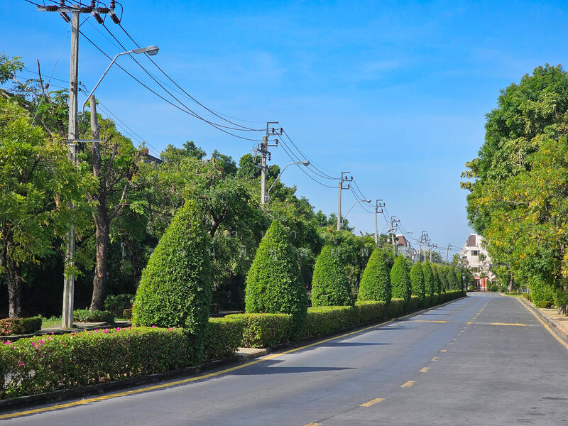 บรรยากาศร่มรื่น