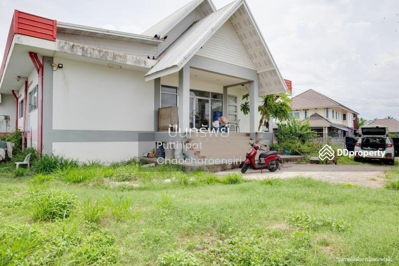 ขาย - 50140, เชียงใหม่