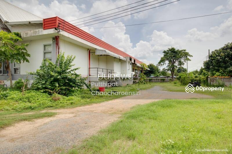 ขาย - 50140, เชียงใหม่
