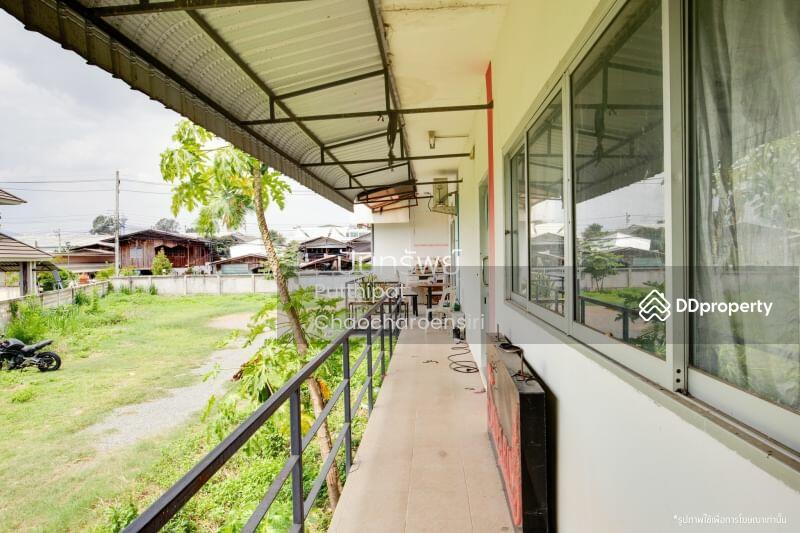 ขาย - 50140, เชียงใหม่