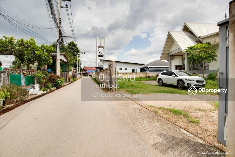 ขาย - 50140, เชียงใหม่