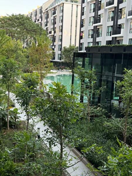 KAVE Town Space : เคฟ ทาวน์ สเปซ, ปทุมธานี, 34/63 ถนนพหลโยธิน, คลองหนึ่ง, คลองหลวง, ปทุมธานี, 27 ตร.ม., คอนโด ให้เช่า, โดย นิธินันท์ ชานวาทิกบุศย์, 11689062 - DDproperty.com