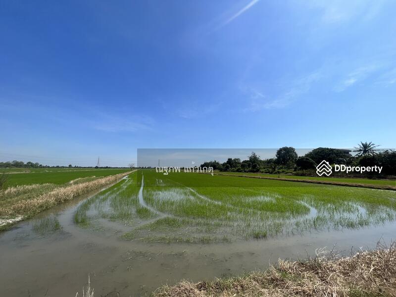 ขาย - หนองจอก, กรุงเทพ