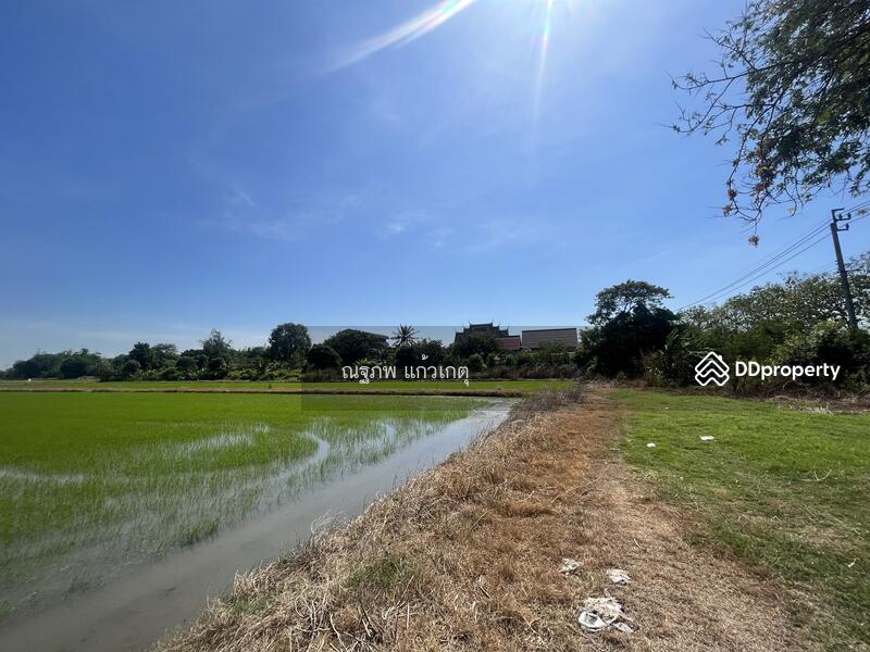 ขาย - หนองจอก, กรุงเทพ