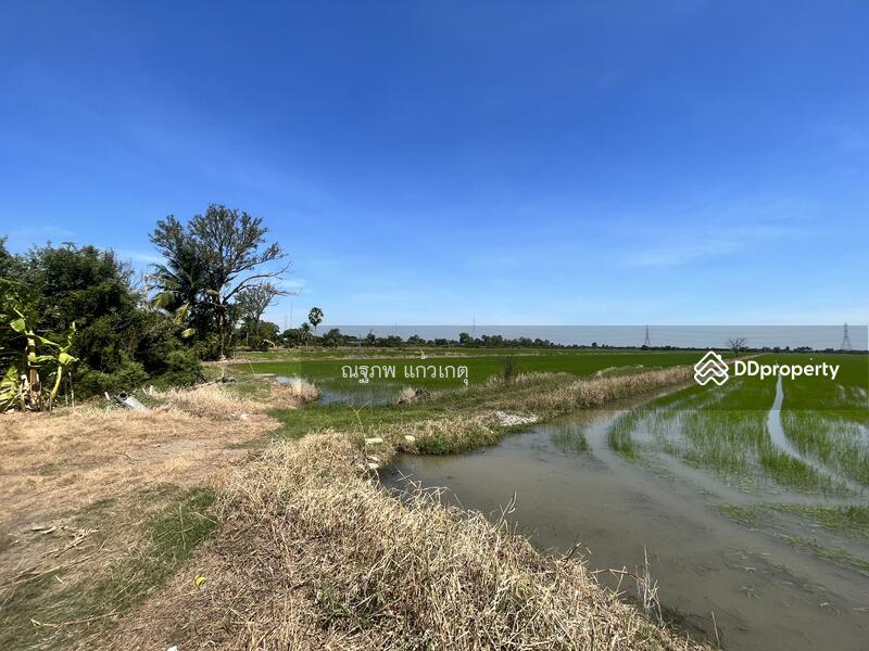 ขาย - หนองจอก, กรุงเทพ