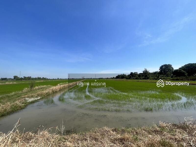 ขาย - หนองจอก, กรุงเทพ