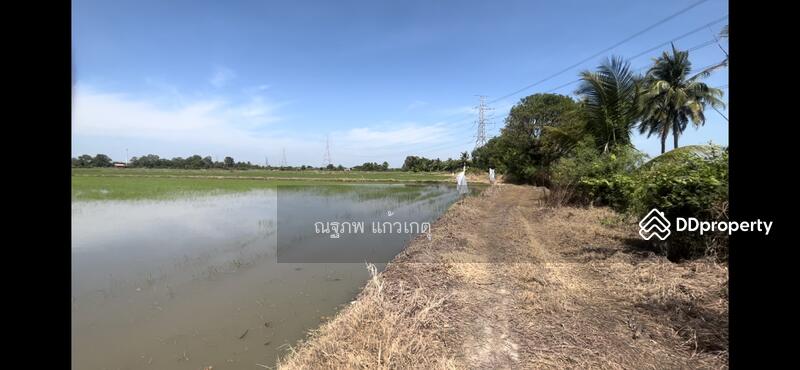 ขาย - หนองจอก, กรุงเทพ