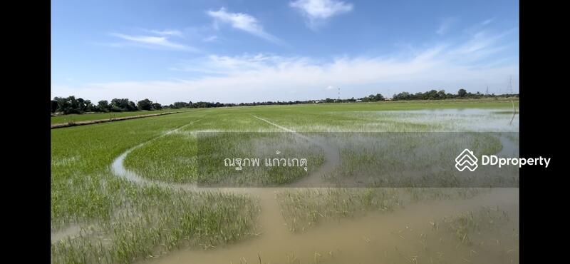ขาย - หนองจอก, กรุงเทพ