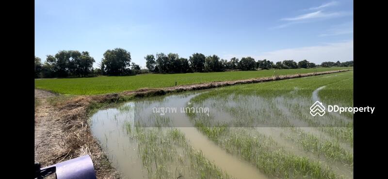 ขาย - หนองจอก, กรุงเทพ