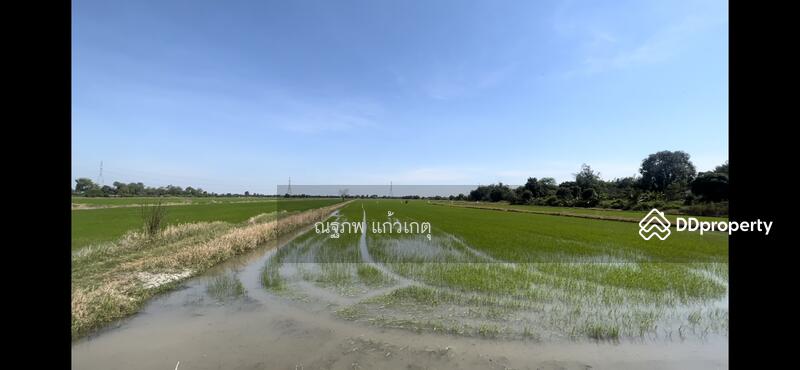 ขาย - หนองจอก, กรุงเทพ