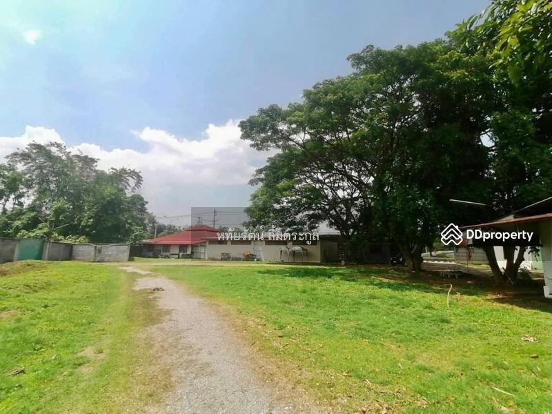 For Sale - Land for sale next to the 2nd Ring Road, Chiang Mai, 5 rai, width 100 meters., Chiang Mai