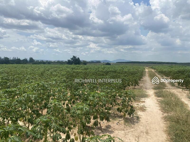 For Sale - Land for sale in Khao Khan Song, purple pattern, area 46 rai, width 490 meters, Chon Buri