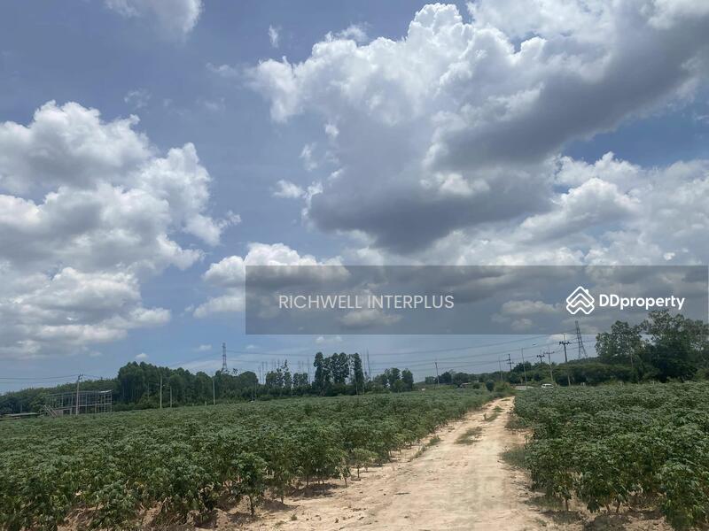 For Sale - Land for sale in Khao Khan Song, purple pattern, area 46 rai, width 490 meters, Chon Buri