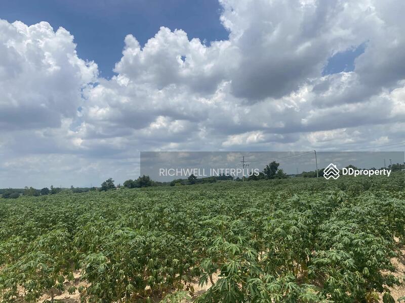 For Sale - Land for sale in Khao Khan Song, purple pattern, area 46 rai, width 490 meters, Chon Buri