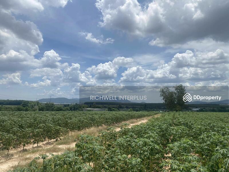 For Sale - Land for sale in Khao Khan Song, purple pattern, area 46 rai, width 490 meters, Chon Buri