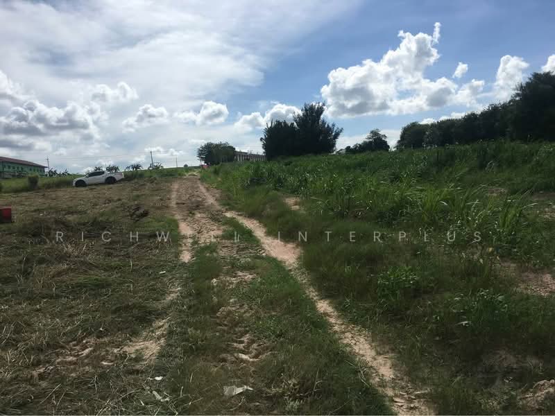 Purple land for sale, red termite pattern, area 12 rai, Soi Map Yang Phon 2, Rayong, Mapyangphon, Pluak Daeng, Rayong, , 19,200 sqm, Land For Sale, by RICHWELL INTERPLUS, 11690487 - DDproperty.com
