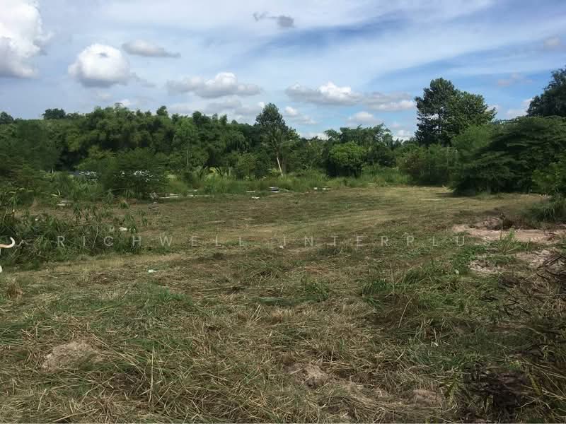 Purple land for sale, red termite pattern, area 12 rai, Soi Map Yang Phon 2, Rayong, Mapyangphon, Pluak Daeng, Rayong, , 19,200 sqm, Land For Sale, by RICHWELL INTERPLUS, 11690487 - DDproperty.com