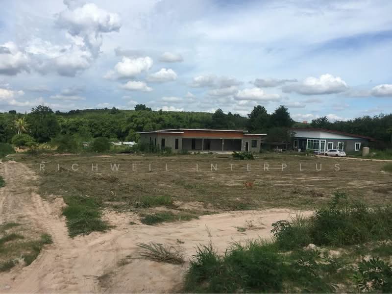 Purple land for sale, red termite pattern, area 12 rai, Soi Map Yang Phon 2, Rayong, Mapyangphon, Pluak Daeng, Rayong, , 19,200 sqm, Land For Sale, by RICHWELL INTERPLUS, 11690487 - DDproperty.com
