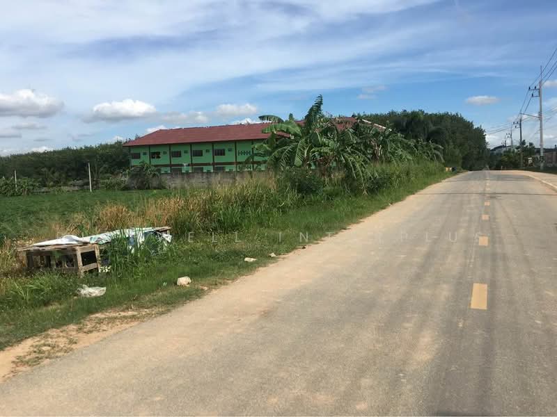 Purple land for sale, red termite pattern, area 12 rai, Soi Map Yang Phon 2, Rayong, Mapyangphon, Pluak Daeng, Rayong, , 19,200 sqm, Land For Sale, by RICHWELL INTERPLUS, 11690487 - DDproperty.com