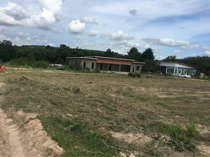 Purple land for sale, red termite pattern, area 12 rai, Soi Map Yang Phon 2, Rayong, Mapyangphon, Pluak Daeng, Rayong, , 19,200 sqm, Land For Sale, by RICHWELL INTERPLUS, 11690487 - DDproperty.com