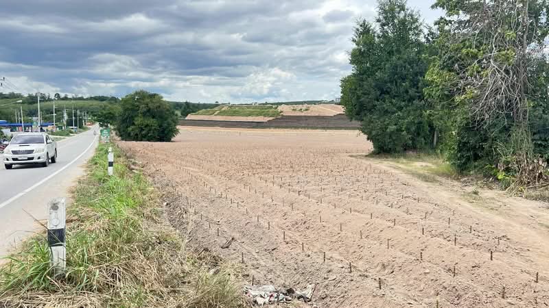 Land for sale, purple pattern, Map Yang Phon, next to Amata Industrial Estate, 10 rai,, Rayong, Mapyangphon, Pluak Daeng, Rayong, , 17,272 sqm, Land For Sale, by RICHWELL INTERPLUS, 11690865 - DDproperty.com