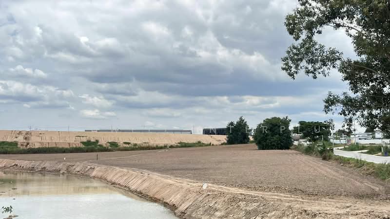 Land for sale, purple pattern, Map Yang Phon, next to Amata Industrial Estate, 10 rai,, Rayong, Mapyangphon, Pluak Daeng, Rayong, , 17,272 sqm, Land For Sale, by RICHWELL INTERPLUS, 11690865 - DDproperty.com