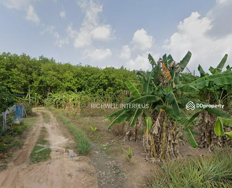 For Sale - For sale: purple land with Khao Khan Song pattern, 300 sq m. behind Pinthong 5 Industrial Estate, Chon Buri