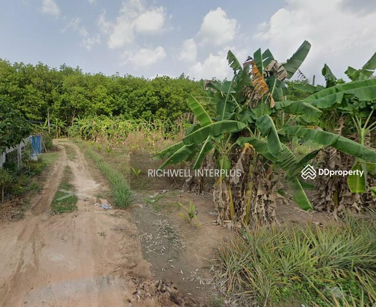 For Sale - For sale: purple land with Khao Khan Song pattern, 300 sq m. behind Pinthong 5 Industrial Estate, Chon Buri
