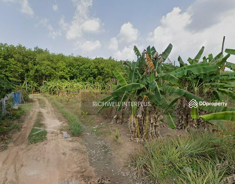 For Sale - For sale: purple land with Khao Khan Song pattern, 300 sq m. behind Pinthong 5 Industrial Estate, Chon Buri