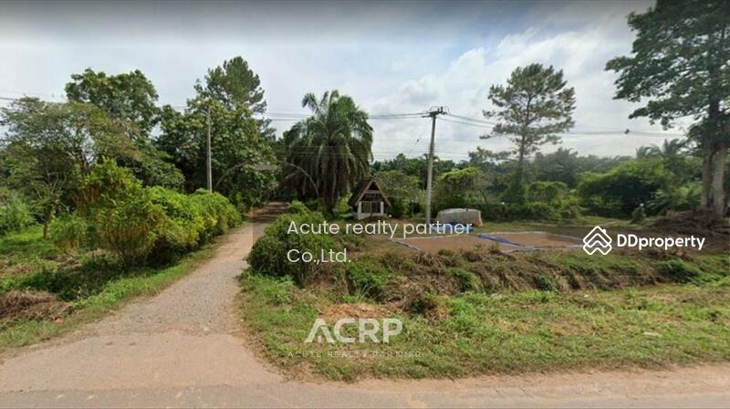 For Sale - Land for sale in a beautiful location, Rong Chik Subdistrict, Phu Ruea District, Loei Province, Loei