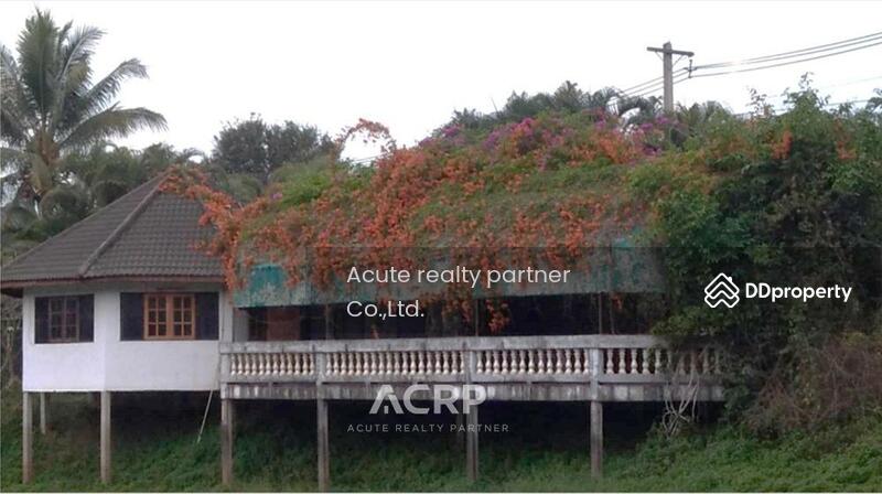 For Sale - Land for sale in a beautiful location, Rong Chik Subdistrict, Phu Ruea District, Loei Province, Loei