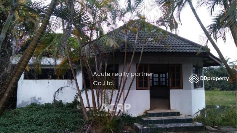 For Sale - Land for sale in a beautiful location, Rong Chik Subdistrict, Phu Ruea District, Loei Province, Loei